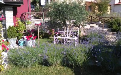 Offerte del B&B OMBRIE ROMANTIQUE vicino alla Valsorda, Umbria