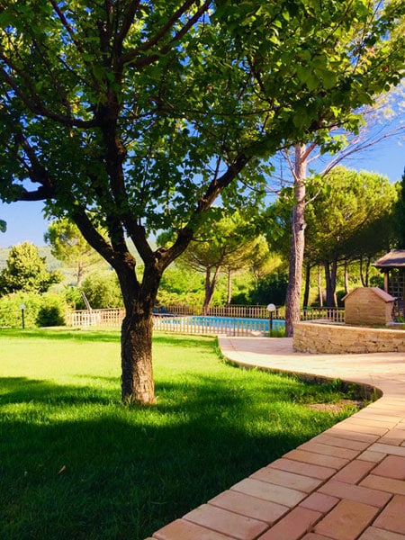 Appartamenti vacanza con Piscina ad Assisi – Agriturismo la Selva di Francesco