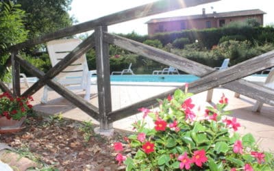 Appartamenti con piscina LE QUERCE SECOLARI per una vera vacanza in Umbria