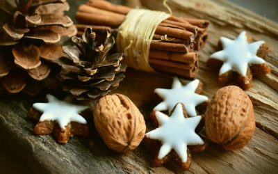 Offerta Natale in Agriturismo con Fattoria Didattica in Umbria