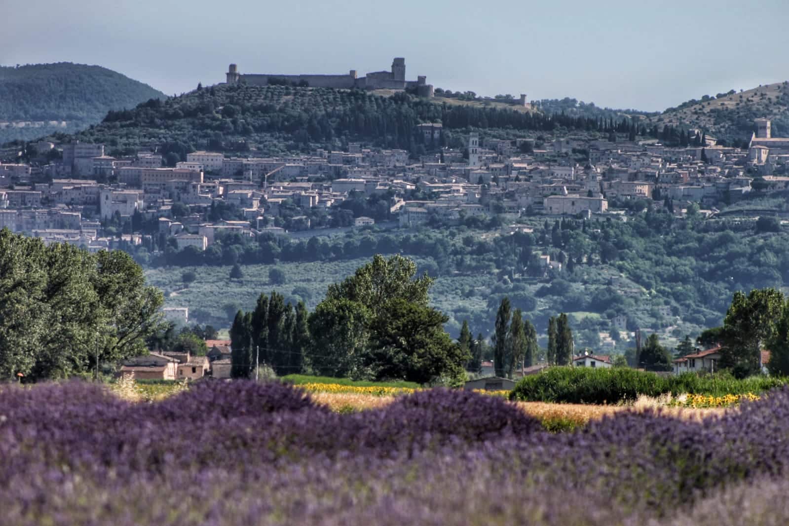 COSA FARE CON I BAMBINI IN UMBRIA A GIUGNO - Umbria Bimbo