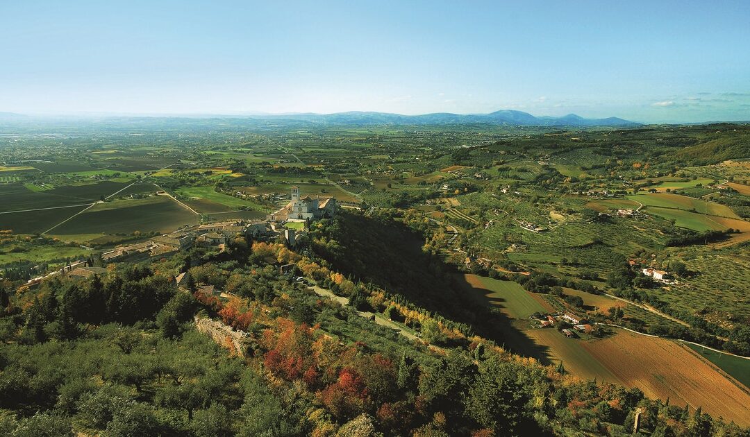 Festa dei Boschi Assisi: passeggiate e laboratori al bosco di San Francesco