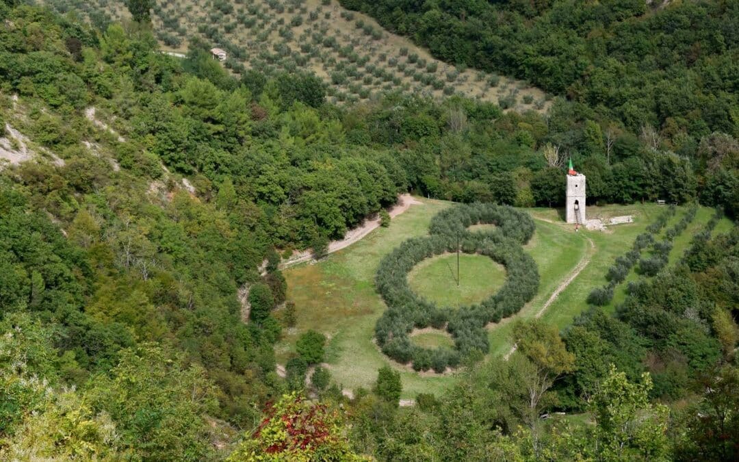 Un Bosco da Scoprire ad Assisi