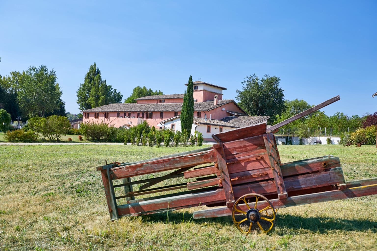 5 Esperienze Da Fare Con Bambini Nelle Fattorie Umbre - Umbria Bimbo