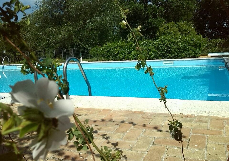Estate ad Assisi! Offerta LUGLIO in Agriturismo con ristorante e piscina!