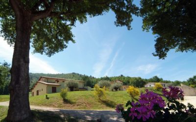 Offerta SAN VALENTINO in Country House a Spoleto in Umbria