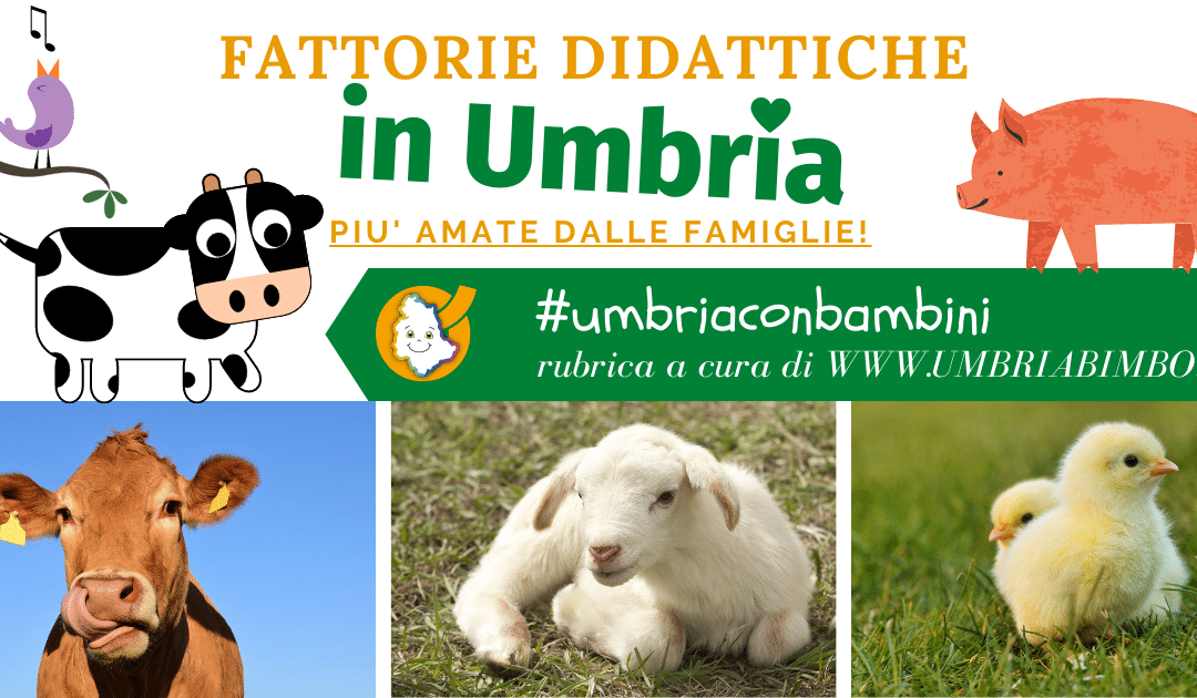 Le Fattorie Didattiche in Umbria più amate dalle famiglie
