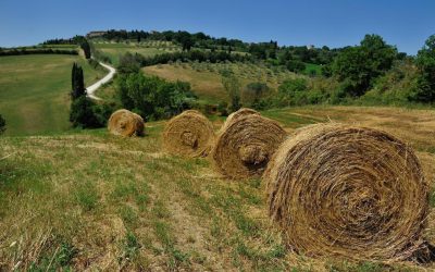 Offerta 1 maggio in Agriturismo per Bambini tra Umbria e Toscana