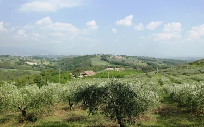 Offerta Ponte 2 Giugno in Agriturismo per famiglie tra Assisi e Bevagna