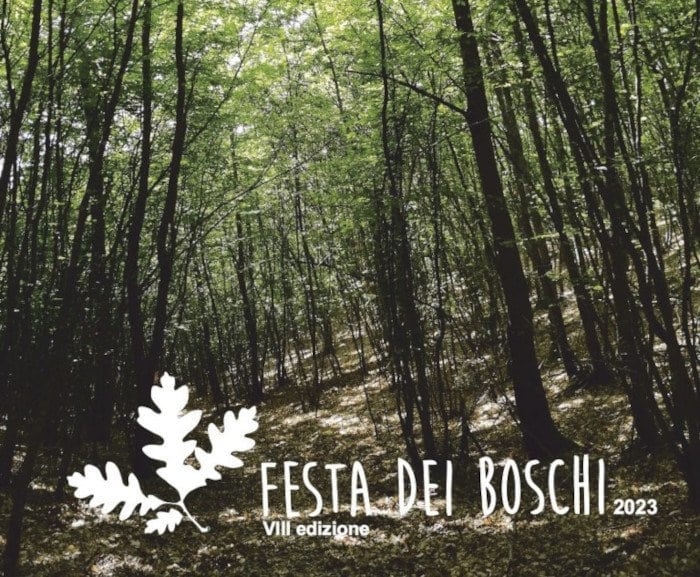 Festa dei Boschi Assisi: passeggiate e laboratori al bosco di San Francesco