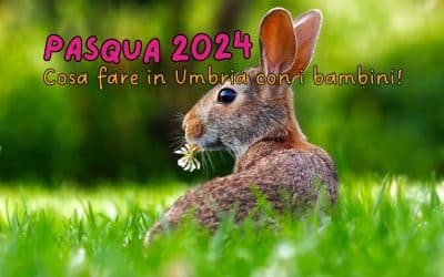 Pasqua 2024: cosa fare in Umbria con i bambini!