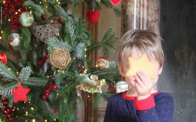 Laboratorio di Natale: realizziamo i biscotti al Bosco di Assisi!