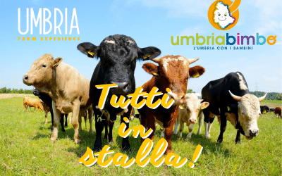 Tutti in Stalla a Montone!