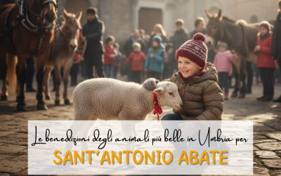 Dove vedere gli animali con i bambini per Sant’Antonio Abate: tutti i luoghi in Umbria