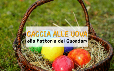 Caccia alle Uova di Pasqua in Umbria 2026: Evento alla Fattoria del Quondam